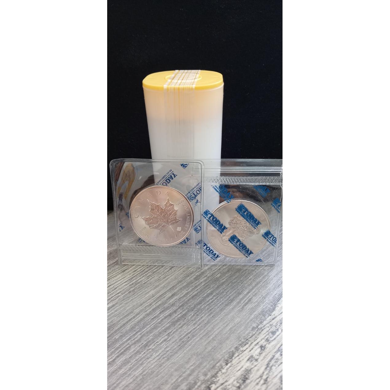 코인즈투데이 - 투데이(주)